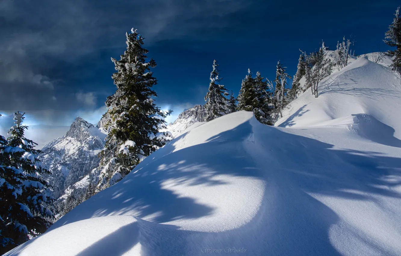 Photo wallpaper winter, snow, trees, landscape, mountains, nature, Austria, ate