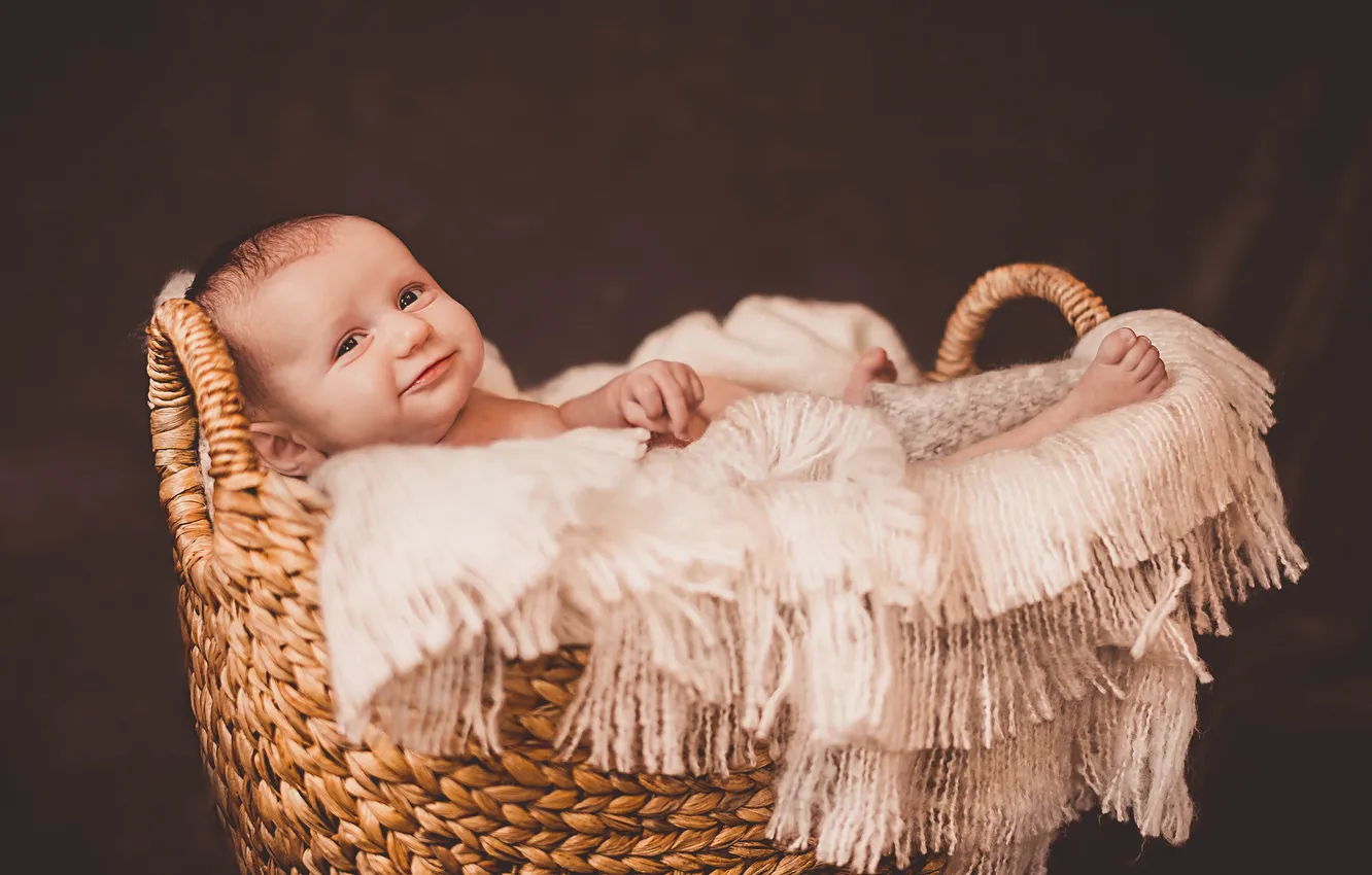 Photo wallpaper girl, basket, baby