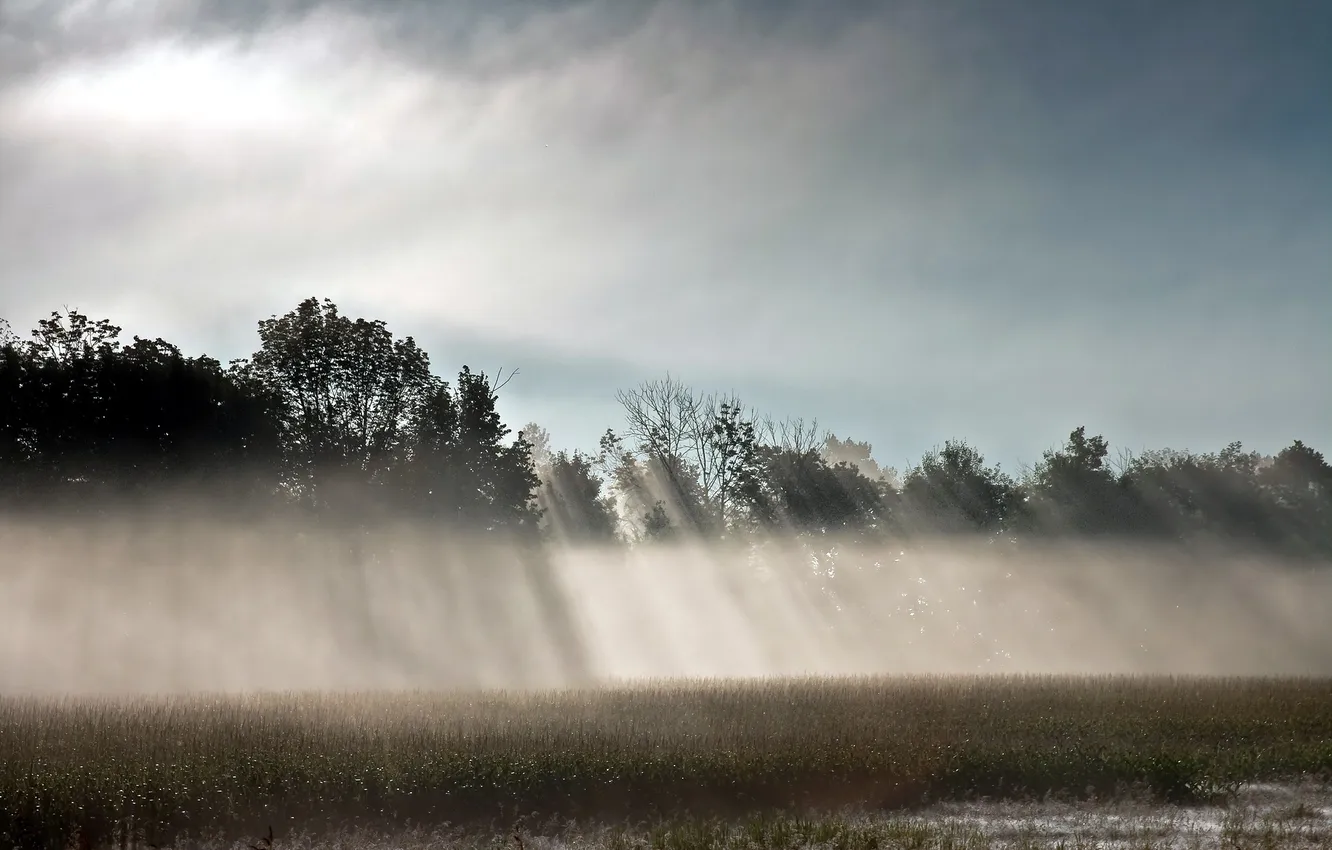 Photo wallpaper field, light, nature, fog, beauty, morning