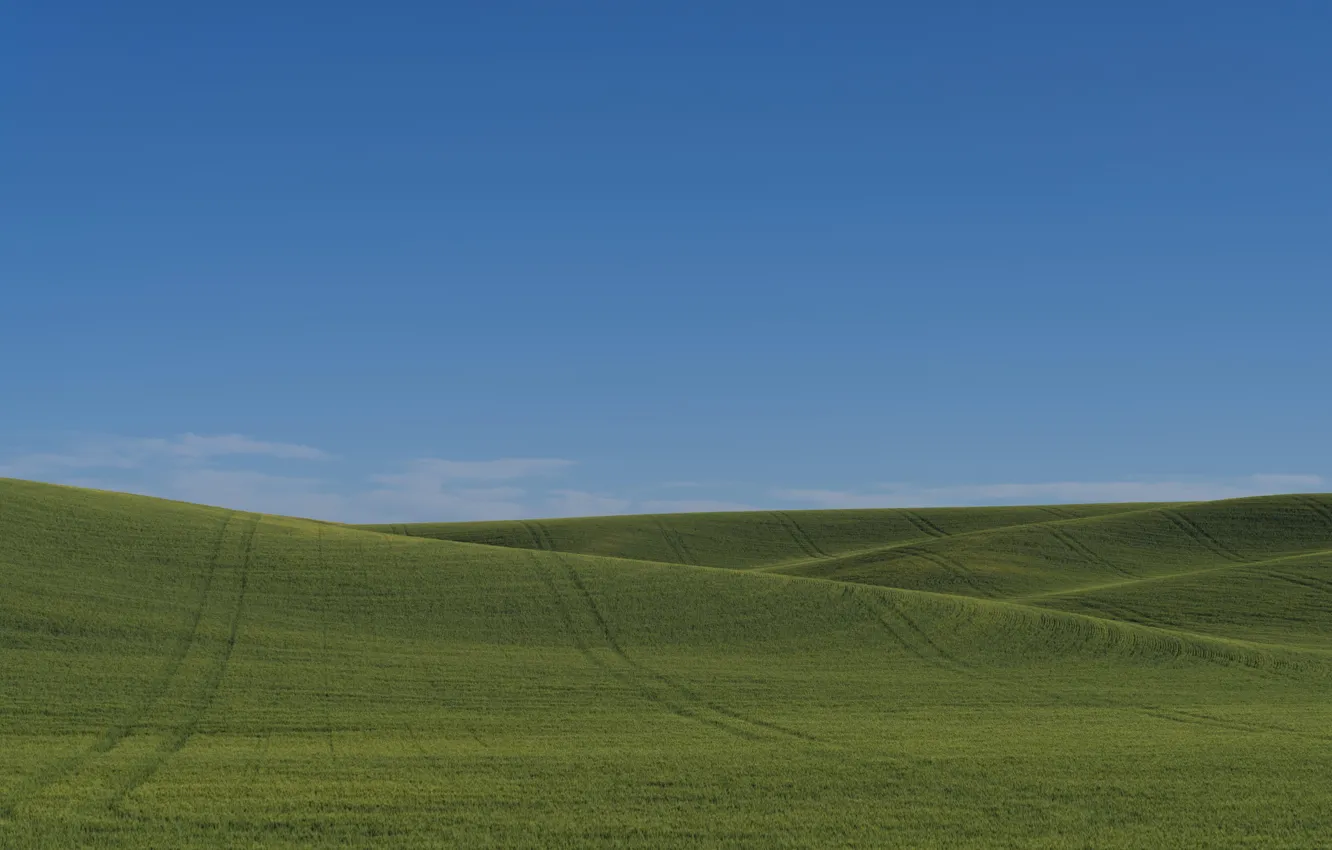Photo wallpaper green, sky, field