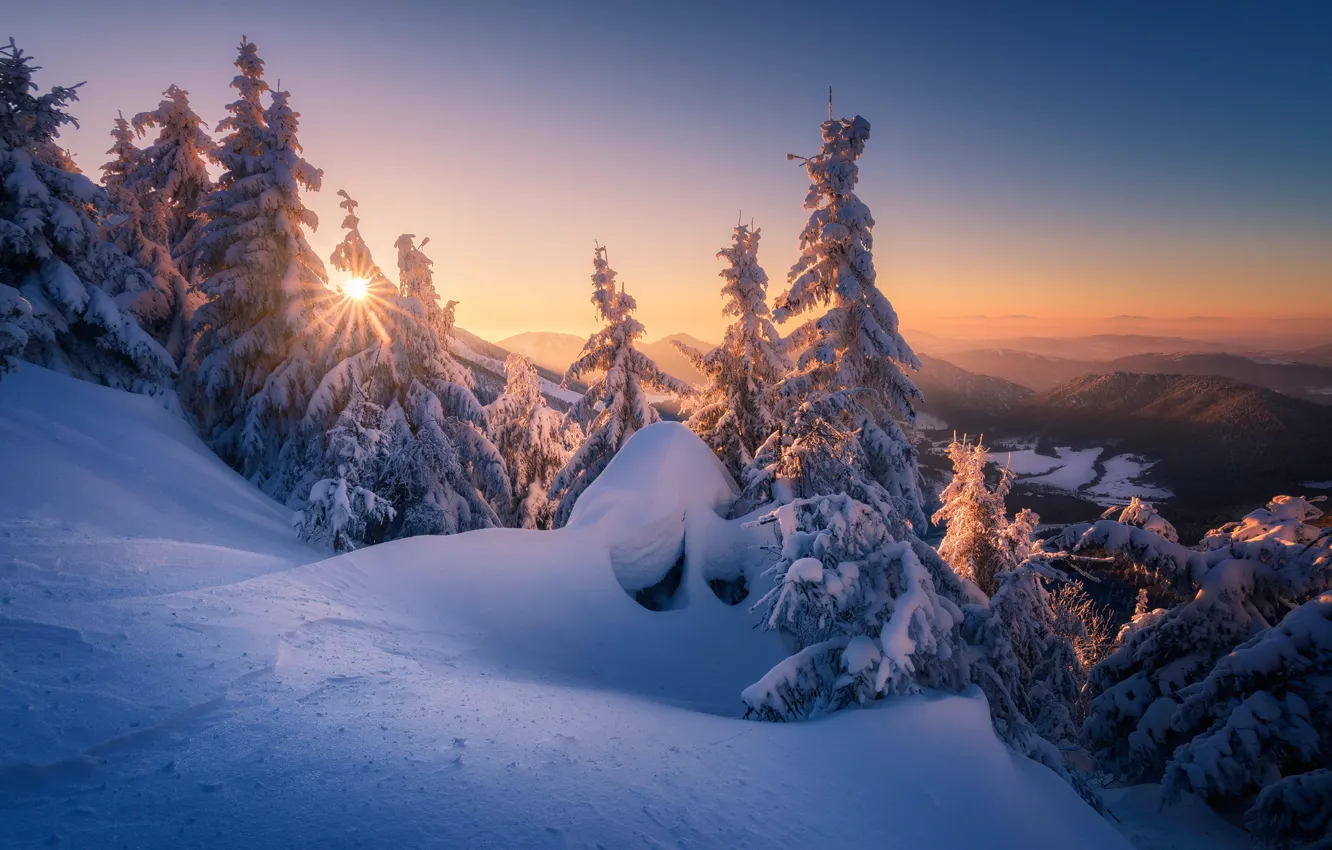 Photo wallpaper winter, snow, trees, sunset, mountains, ate, the snow, Slovakia
