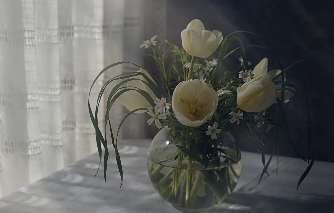 Photo wallpaper rays, light, flowers, wall, bouquet, spring, window, tulips