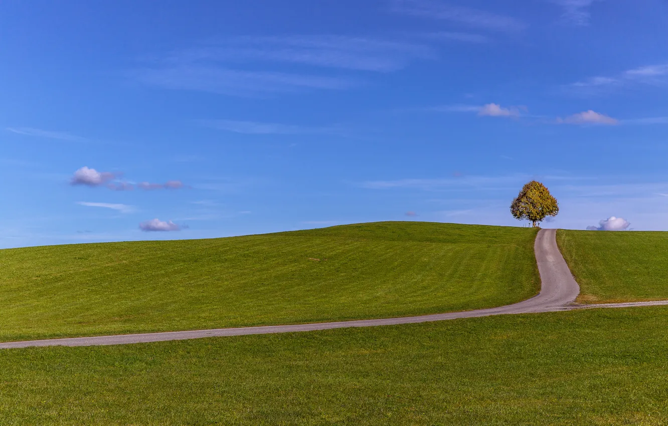 Photo wallpaper road, field, the sky, clouds, trees, hills