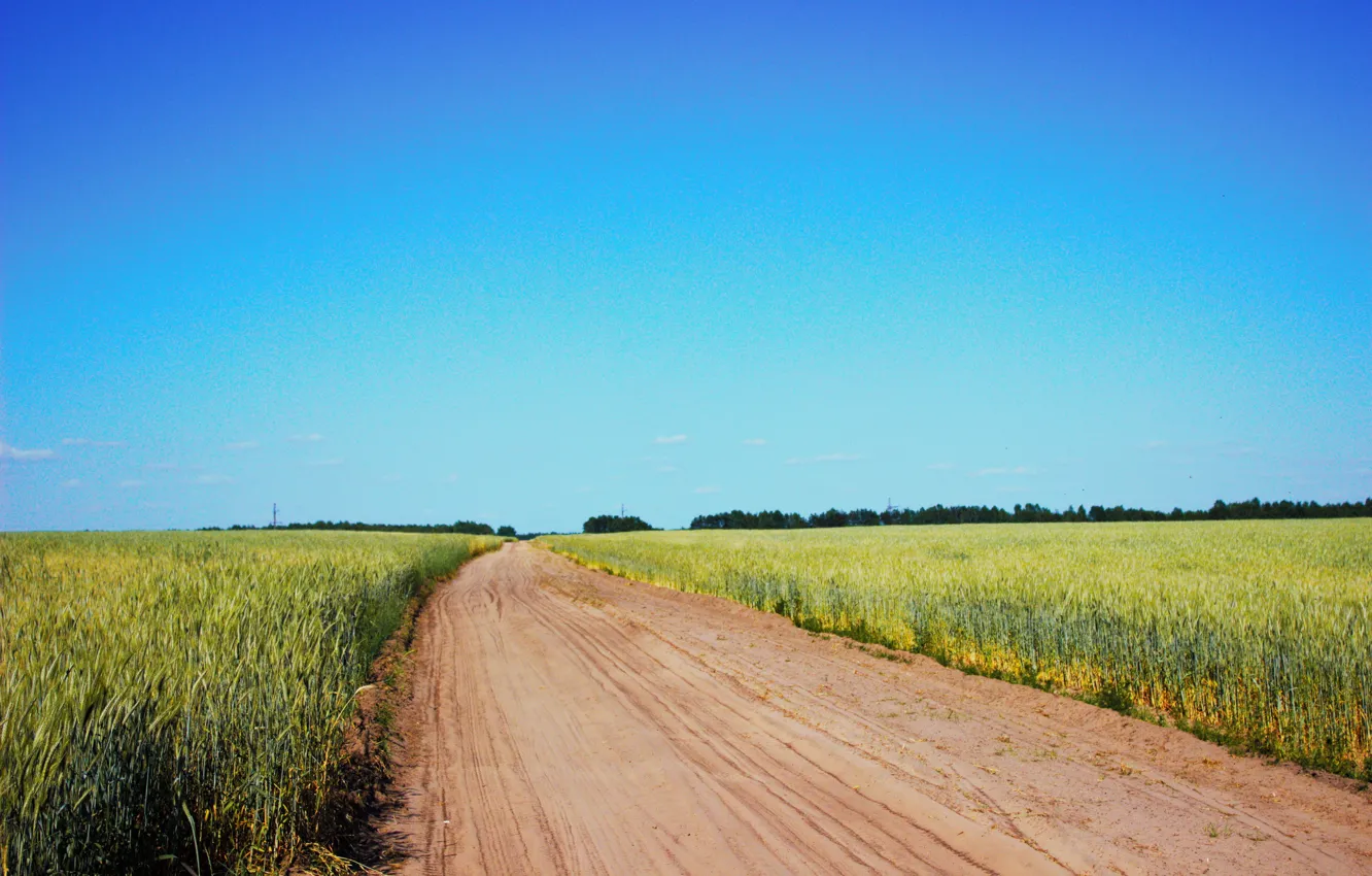 Photo wallpaper road, field, the sky, ear, dust