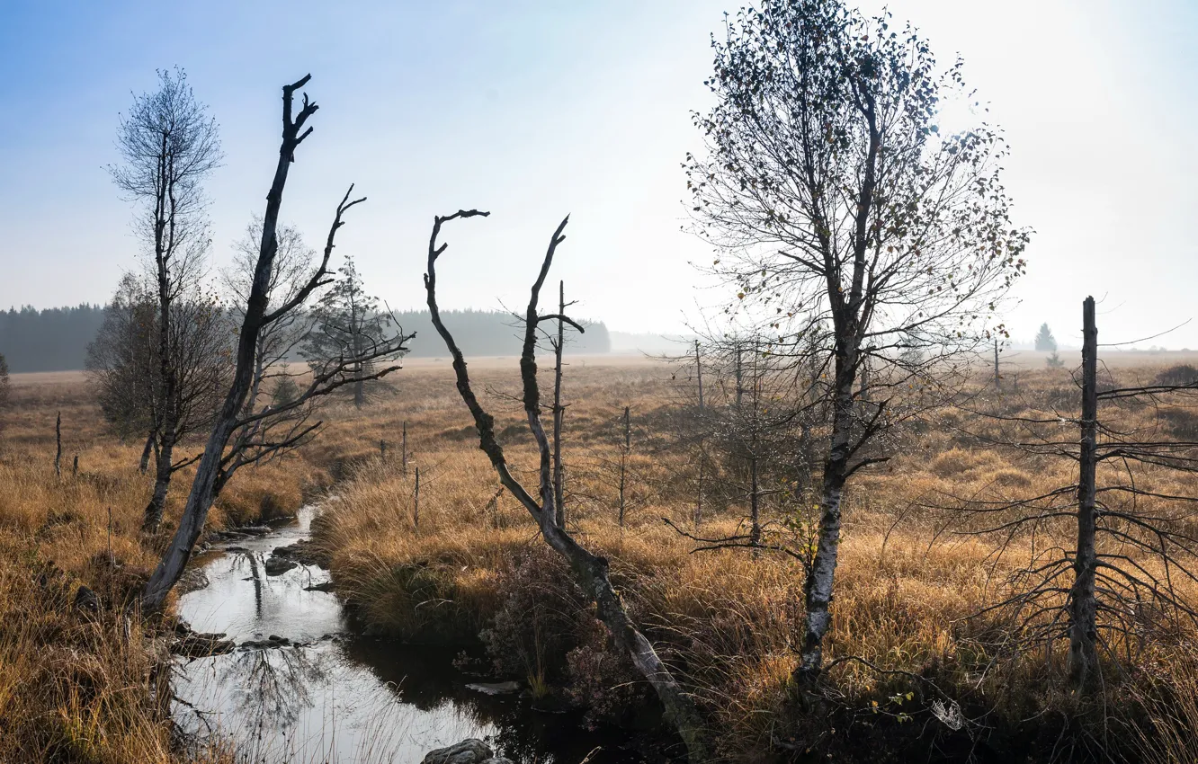Photo wallpaper field, fog, river