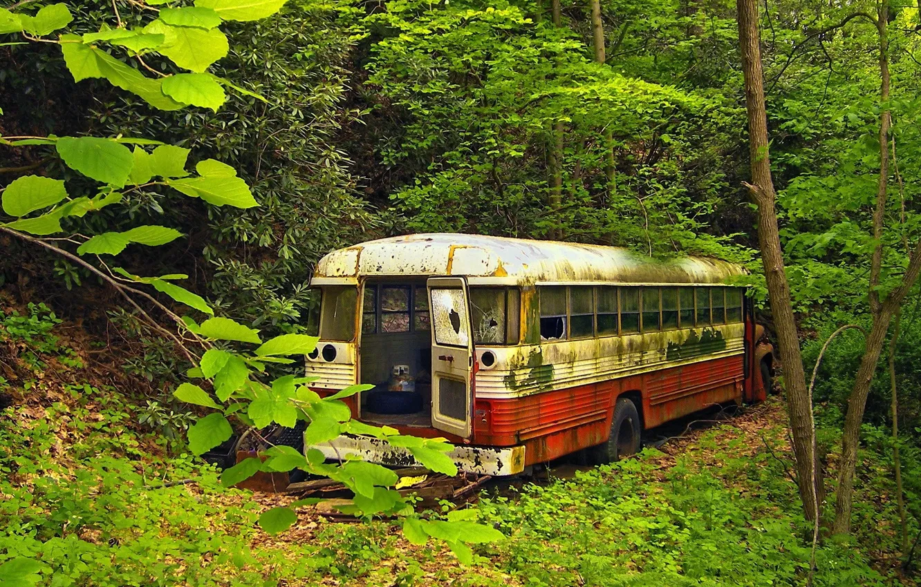Photo wallpaper greens, forest, Old bus