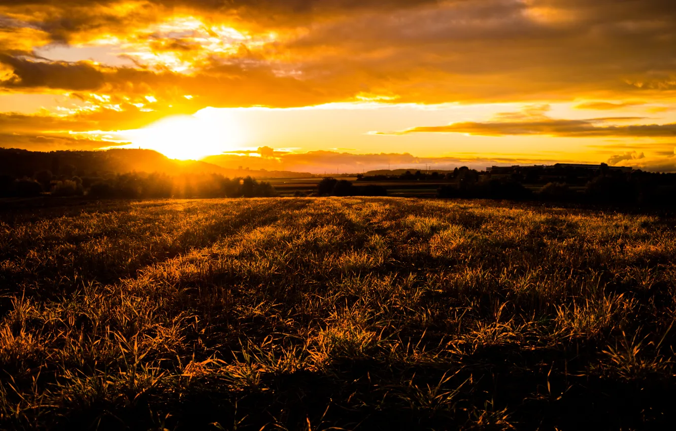 Photo wallpaper grass, sky, trees, sunset, autumn, view, clouds, sun