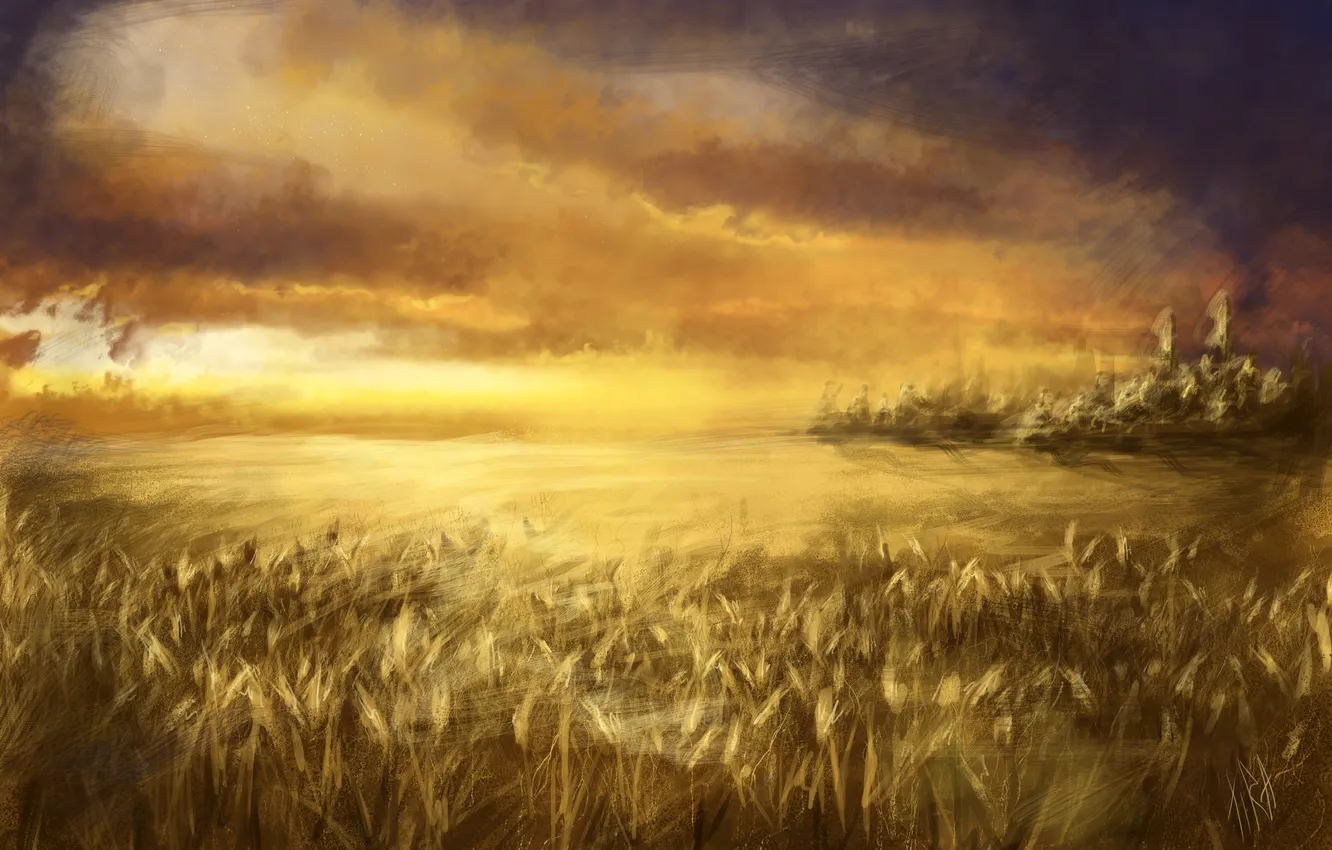 Photo wallpaper wheat, field, the sky, clouds, art, ears