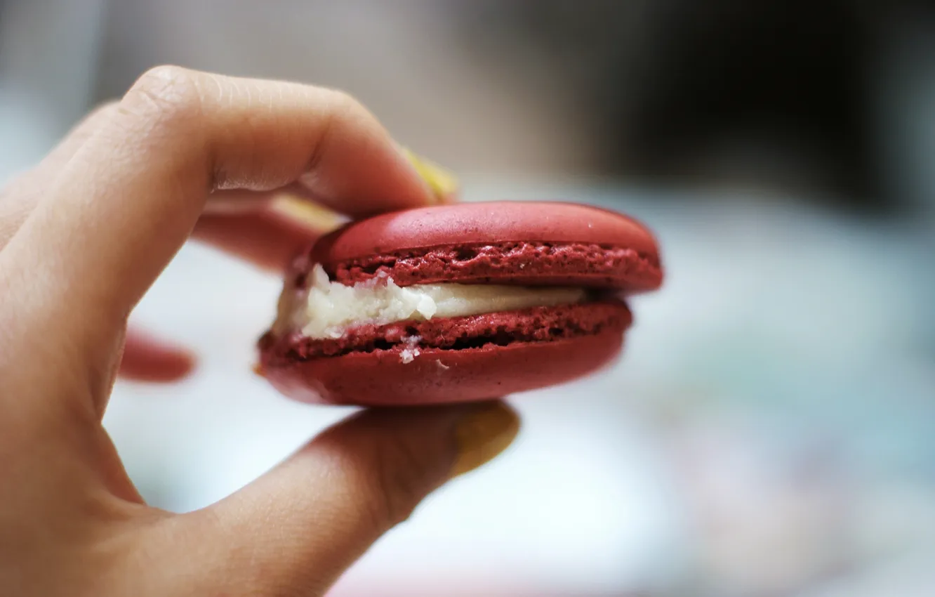 Photo wallpaper hands, cookies, fingers, macaroon, macaroon