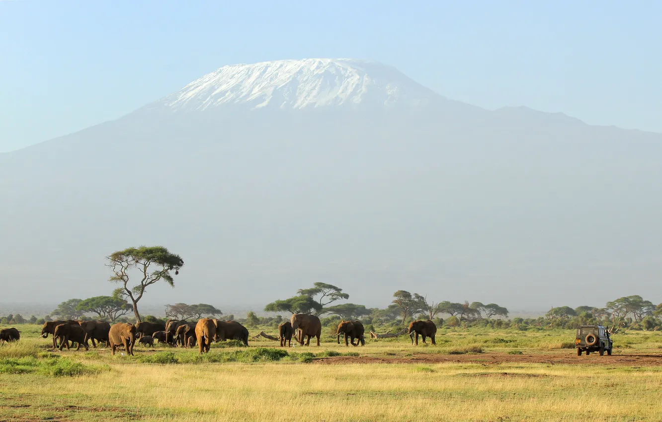 Photo wallpaper mountains, animal, elephant, Unforgettable Safari