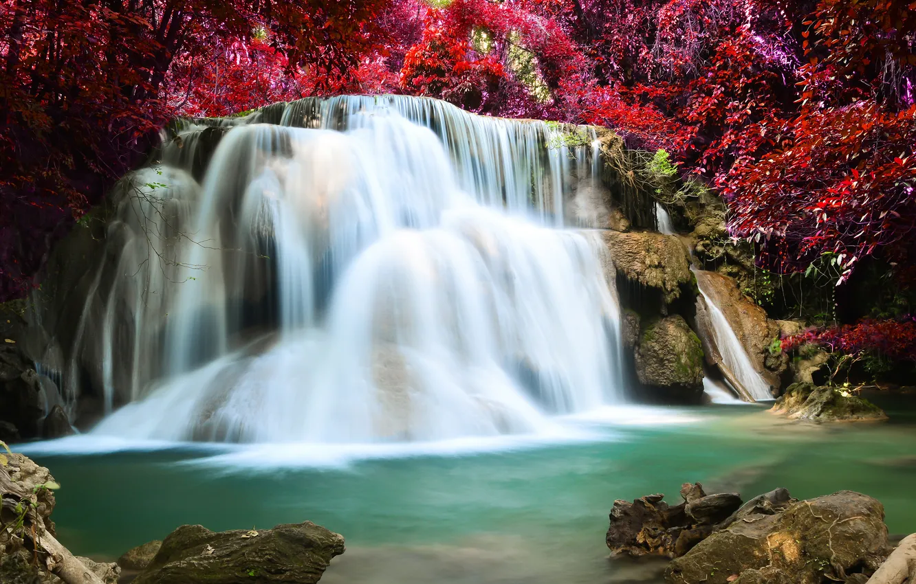 Photo wallpaper autumn, forest, river, waterfall, forest, river, landscape, waterfall