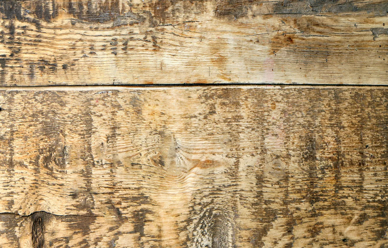 Photo wallpaper wood, wood, texture