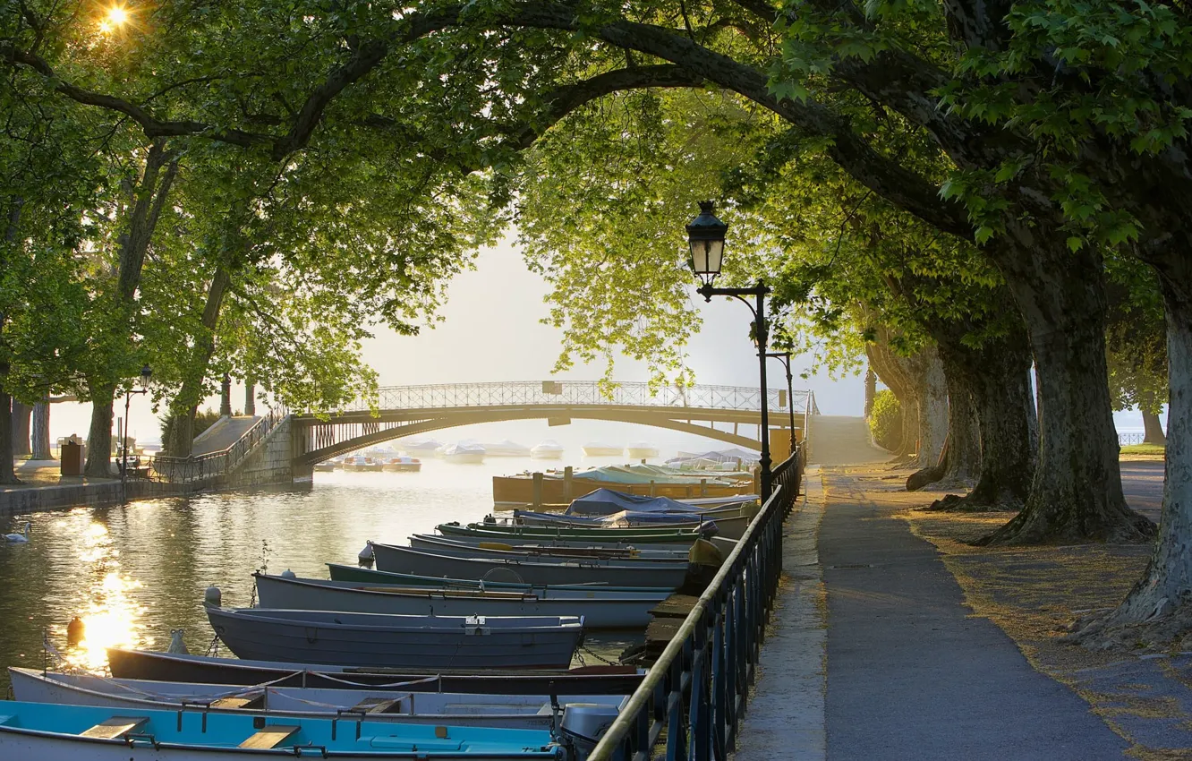 Photo wallpaper trees, bridge, France, boats, Channel, Alley