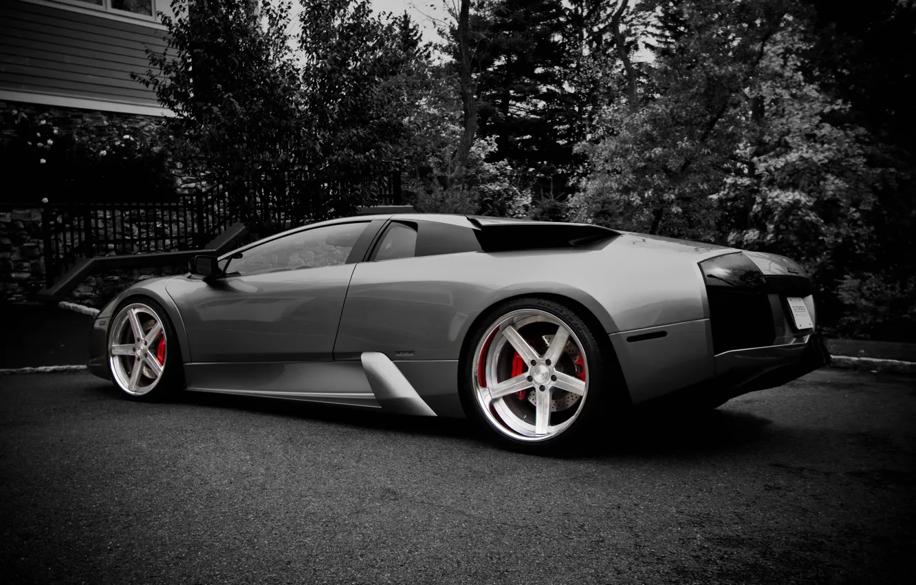 Photo wallpaper Lamborghini, black and white, casting