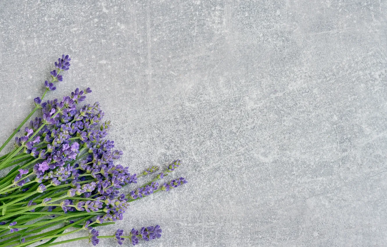 Photo wallpaper flowers, bouquet, lavender
