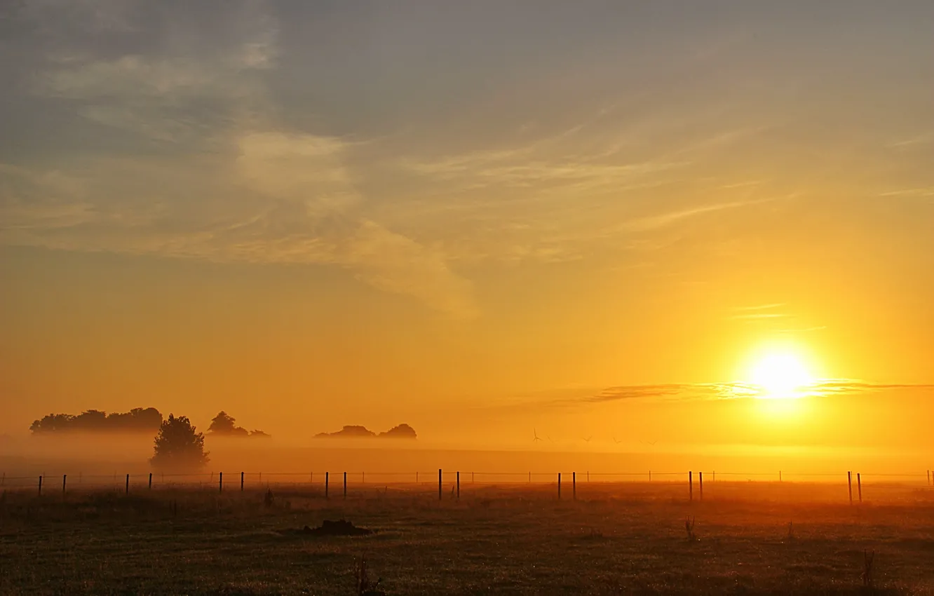 Photo wallpaper field, the sun, fog, the fence, morning, field, morning, sun
