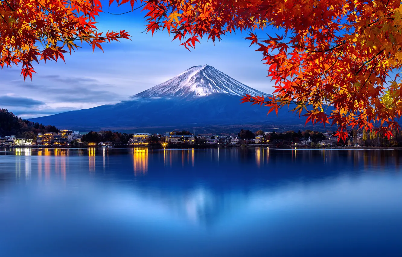 Photo wallpaper autumn, leaves, trees, Park, Japan, Japan, mount Fuji, nature