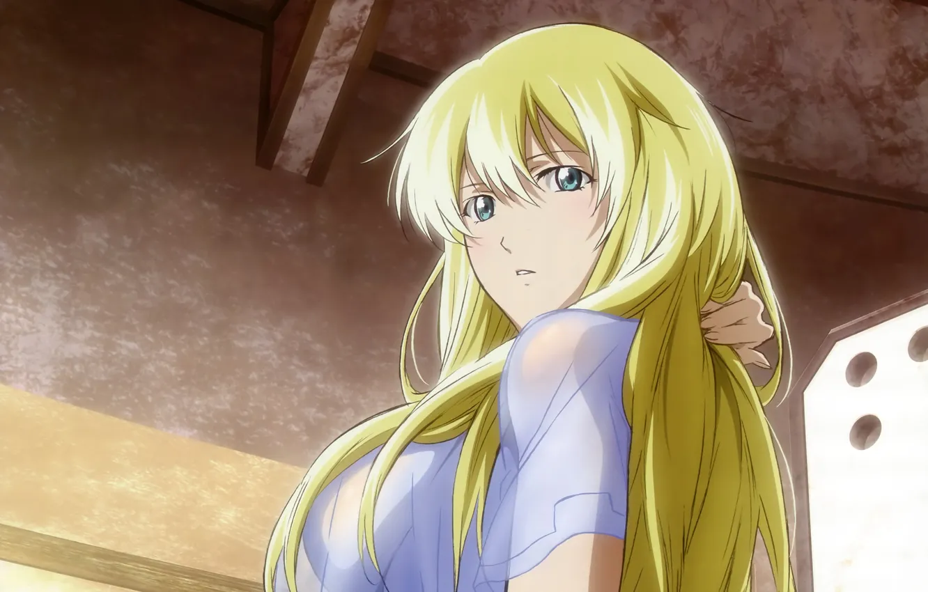Photo wallpaper look, girl, Wallpaper, blonde, long hair, anime, Sigyn First, Broken Blade