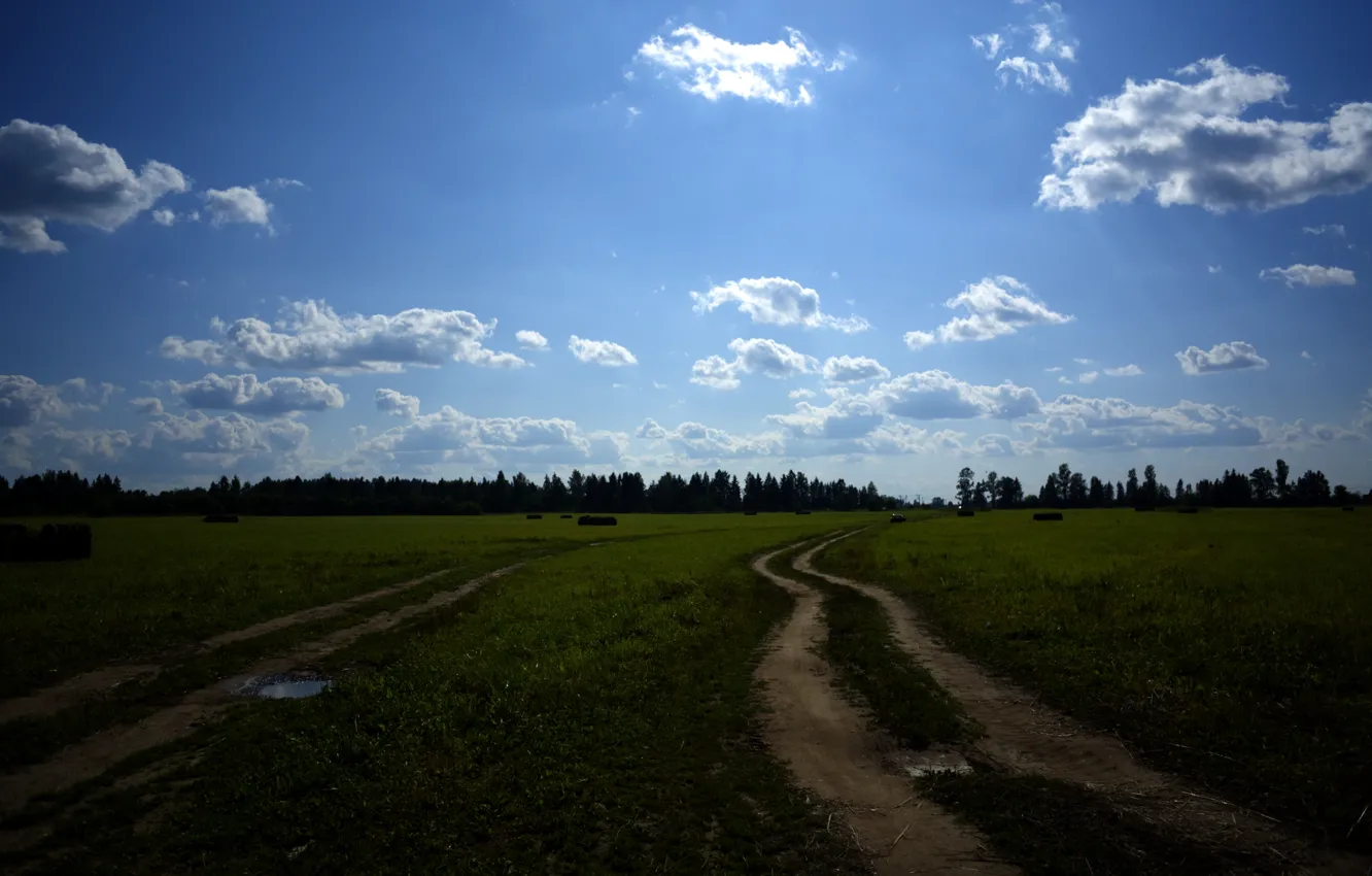 Photo wallpaper field, forest, the sky, clouds, nature, blue, Road, village