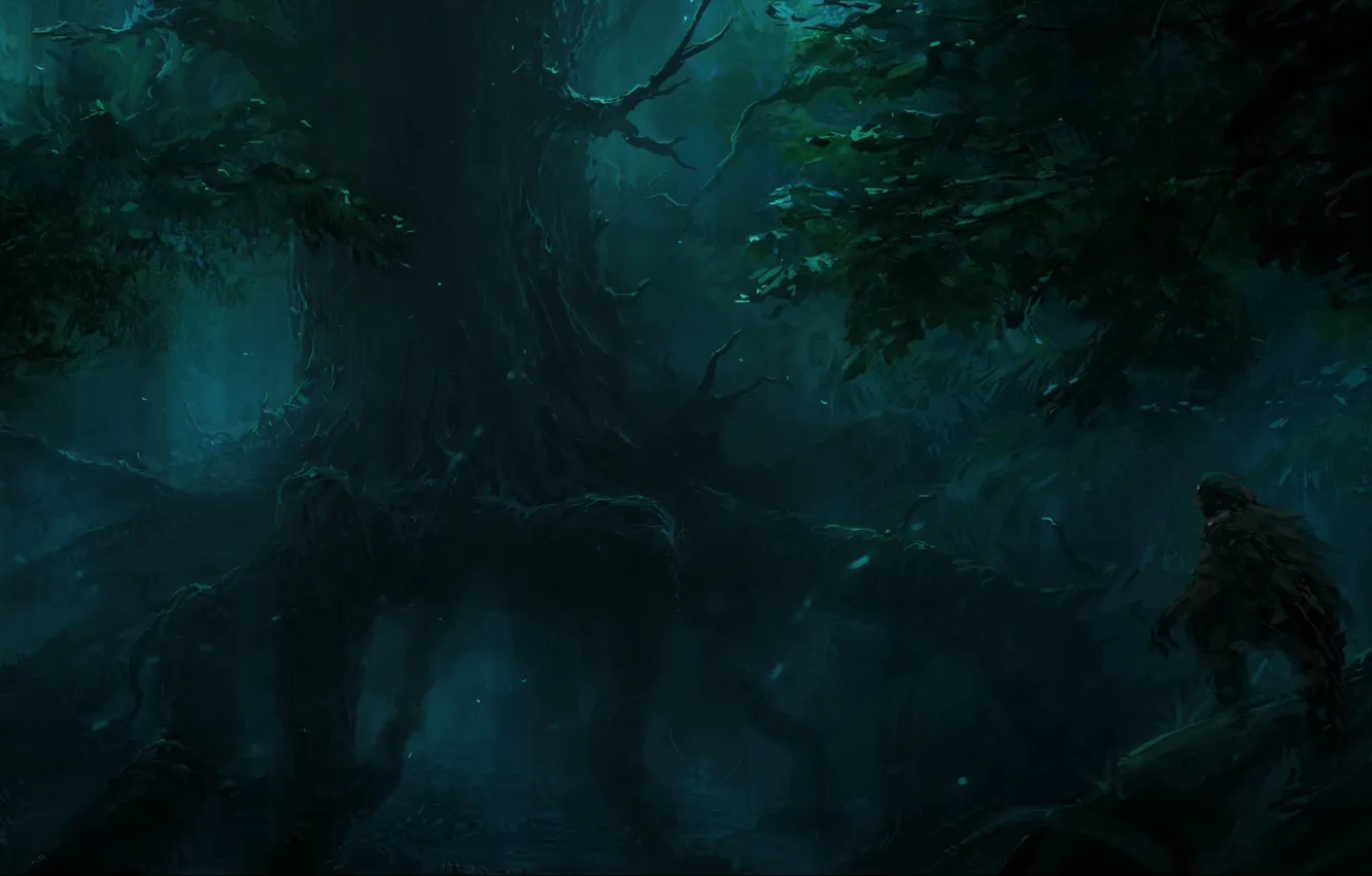 Photo wallpaper trees, roots, the darkness, ChrisCold, Hunter In The Dark Forest