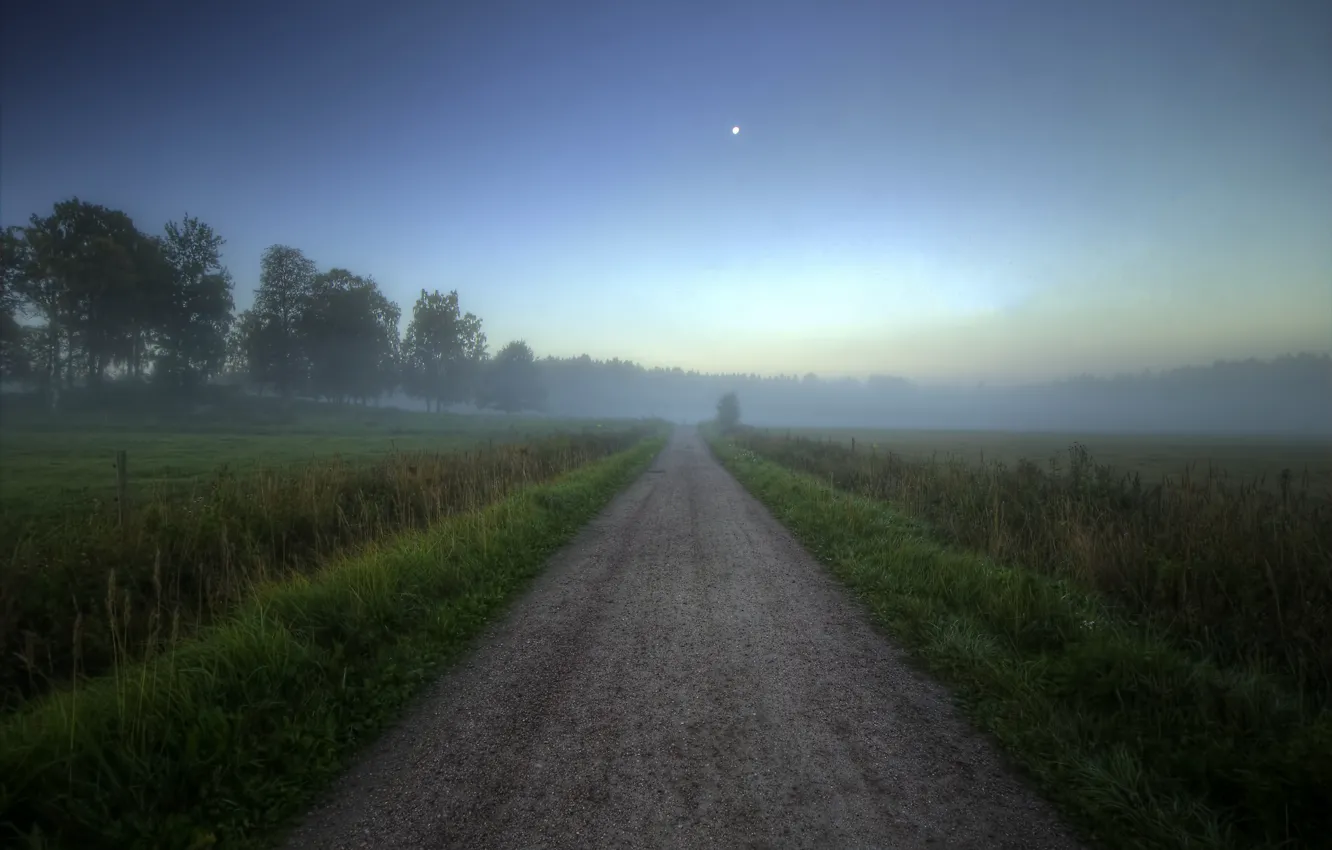 Photo wallpaper road, field, forest, summer, fog, dawn, morning