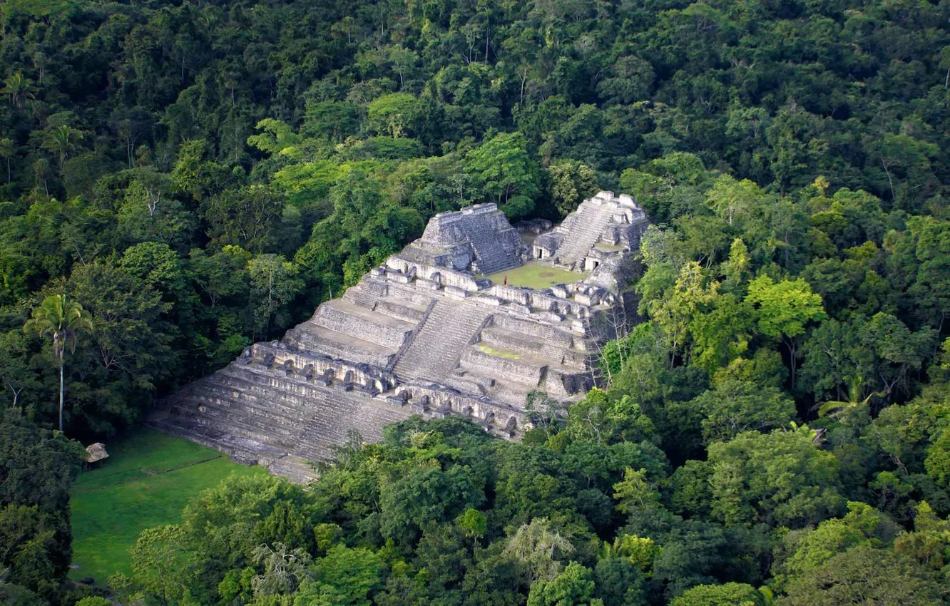 Photo wallpaper forest, pyramid, Miami, Belize, Arakol