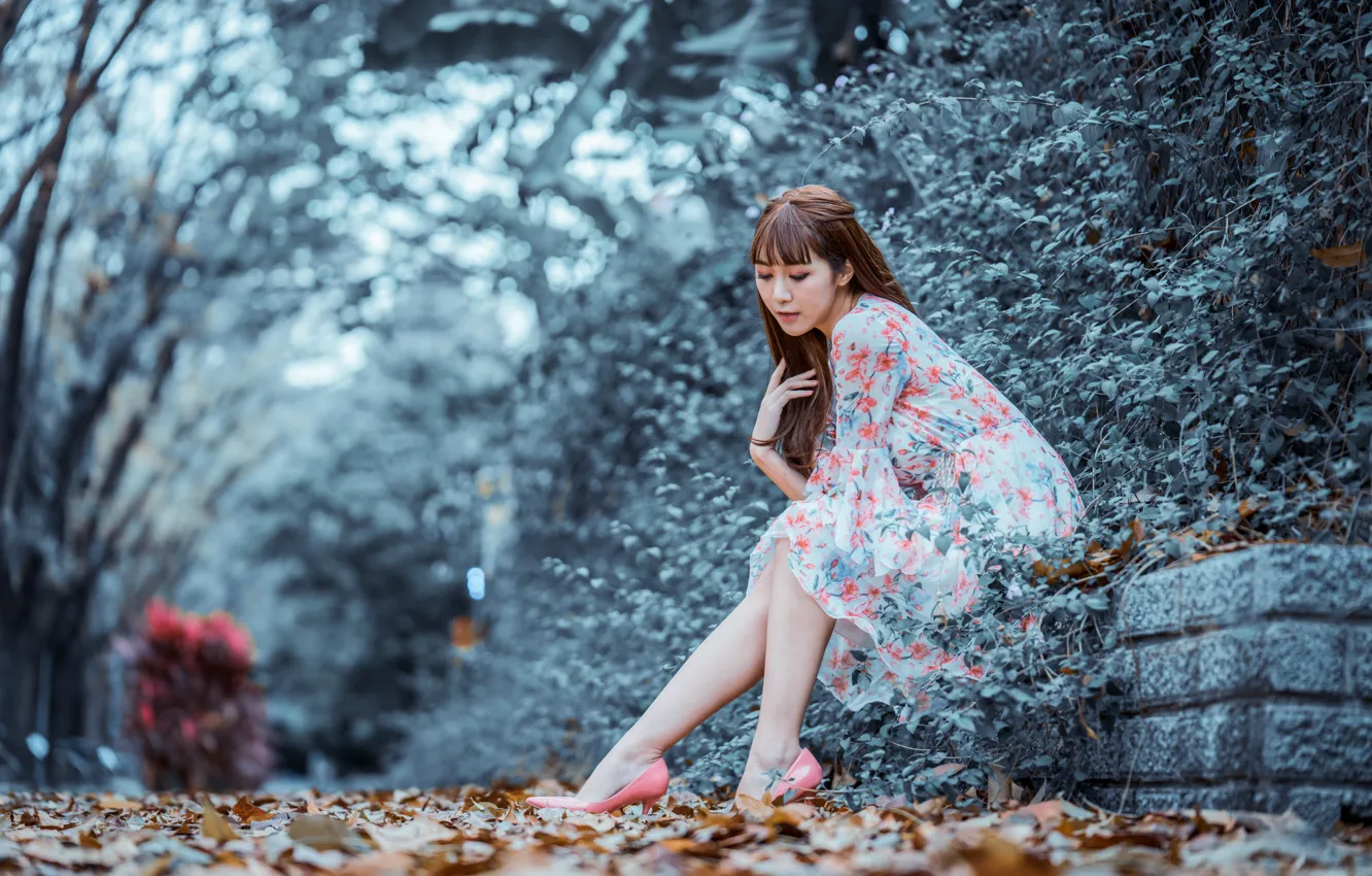 Photo wallpaper autumn, leaves, Park, dress, legs, Asian, bokeh