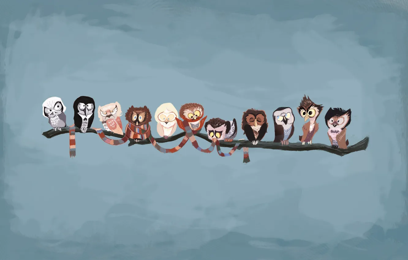 Photo wallpaper branches, owl, bird, scarf