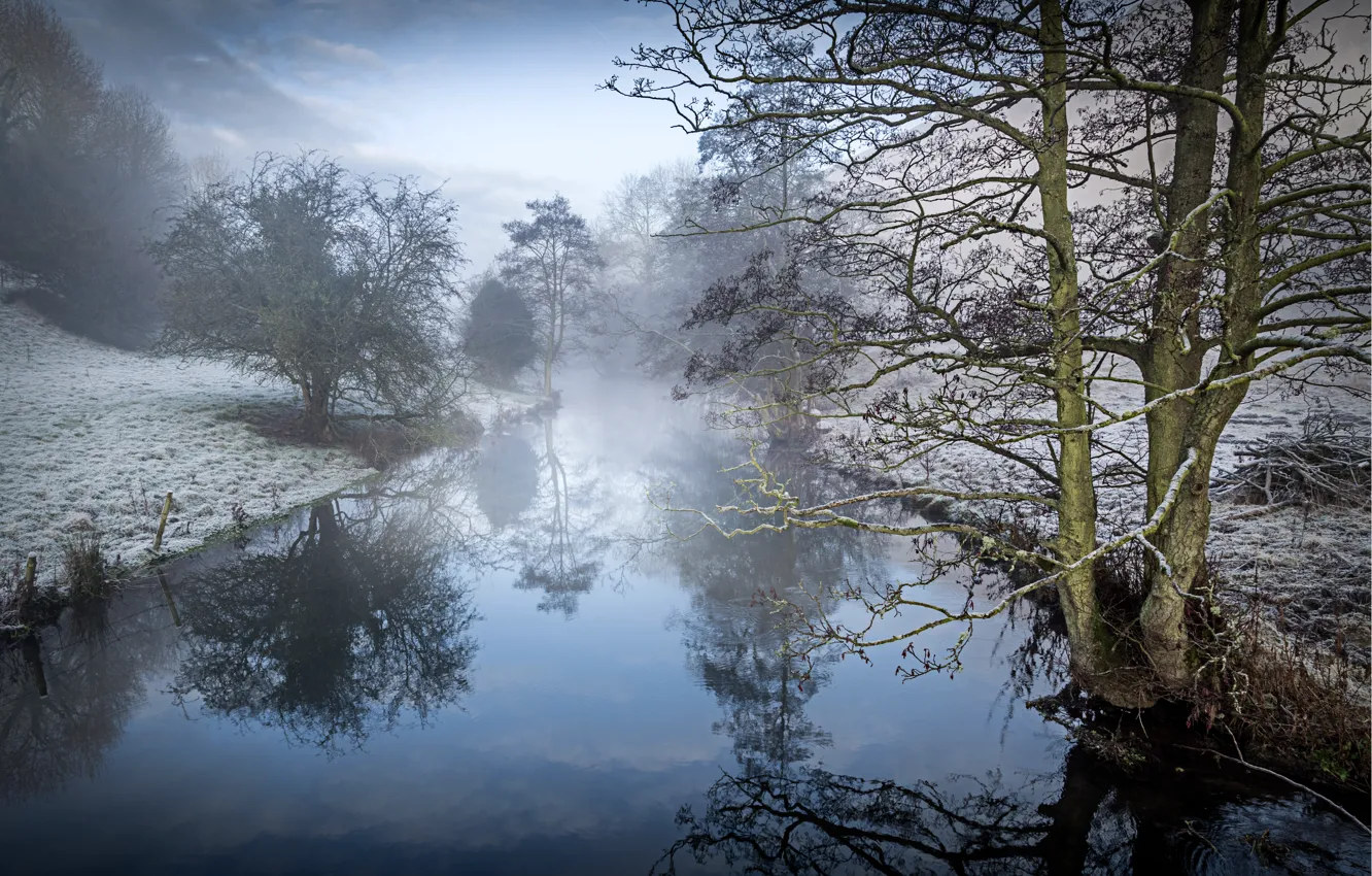 Photo wallpaper river, tree, alder, Winter on the Wye