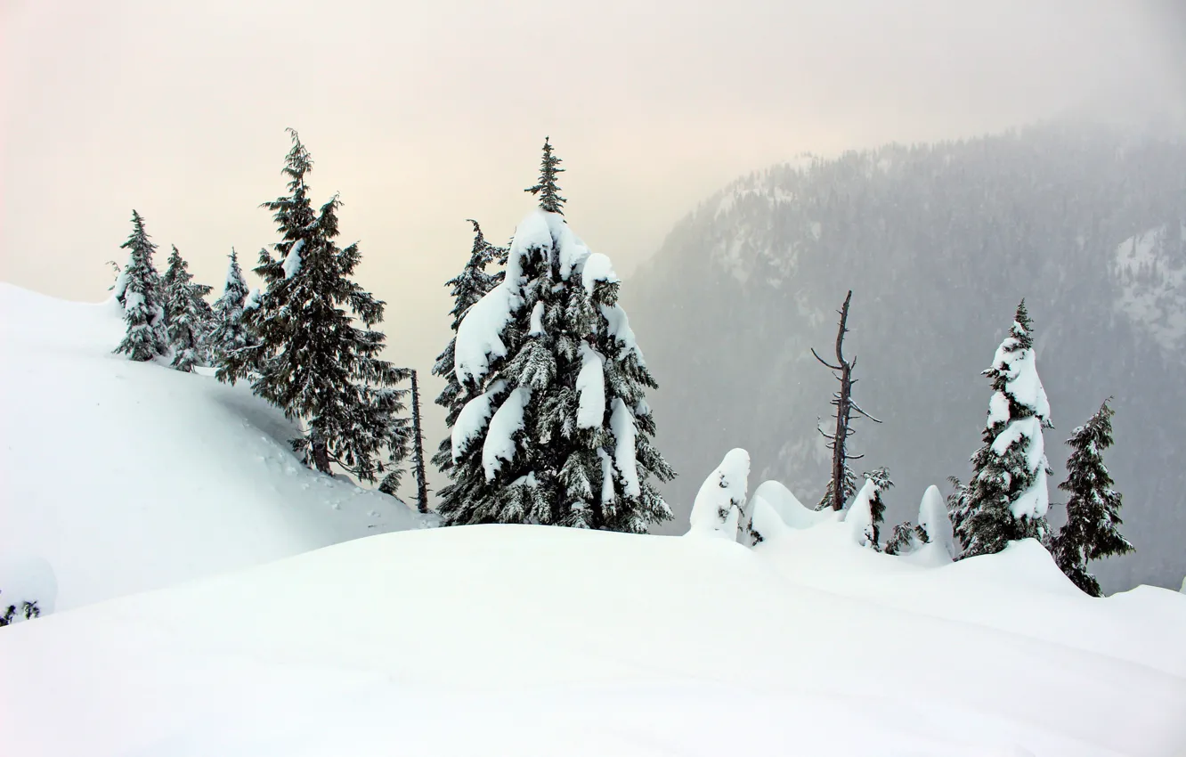 Photo wallpaper winter, snow, mountains, fog