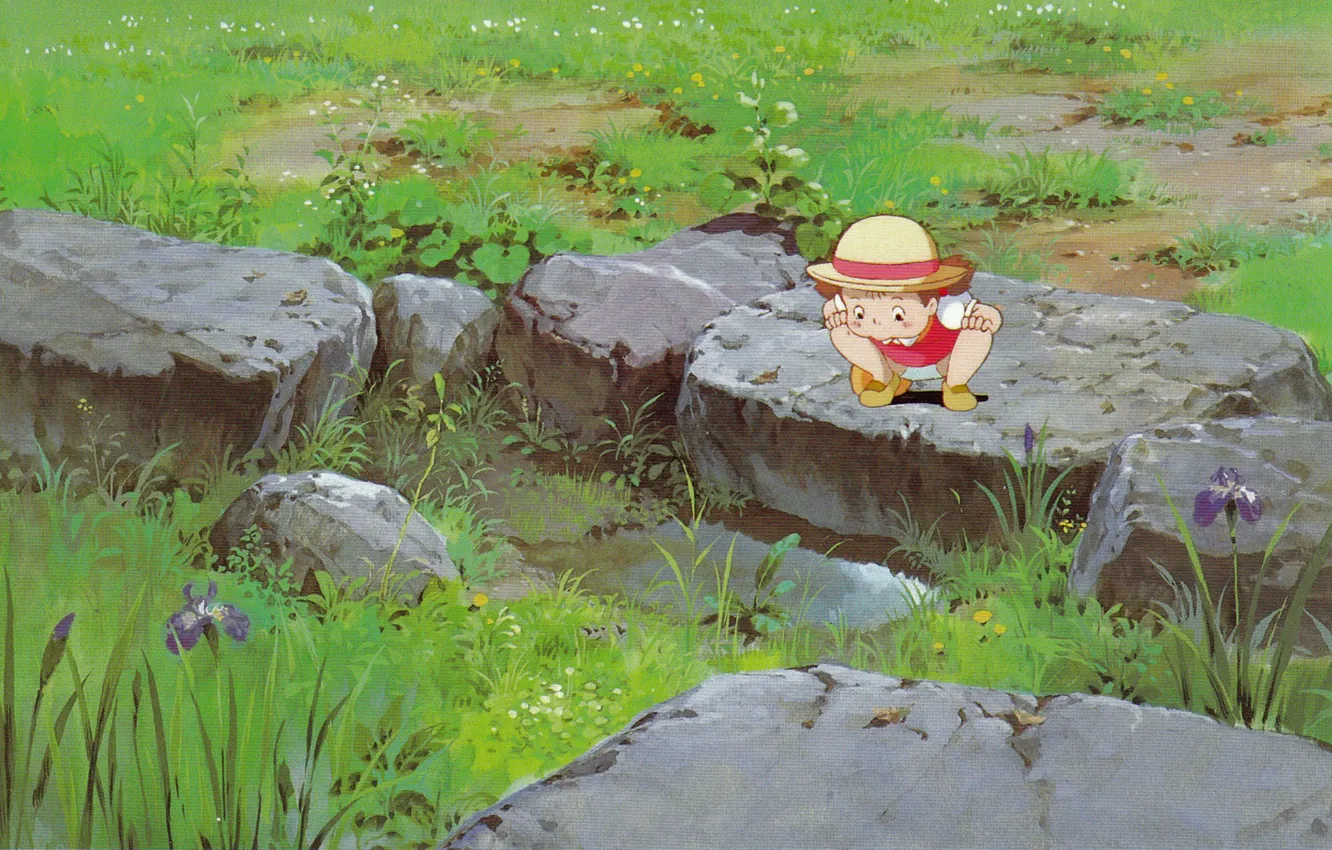 Photo wallpaper summer, grass, stones, hat, puddle, girl, irises, my neighbor Totoro