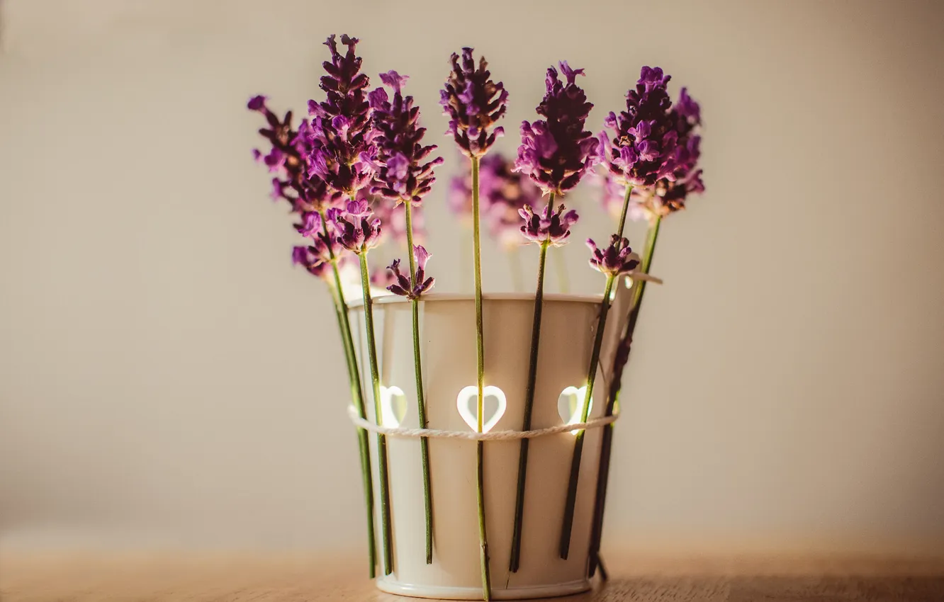Photo wallpaper flowers, vase, lavender