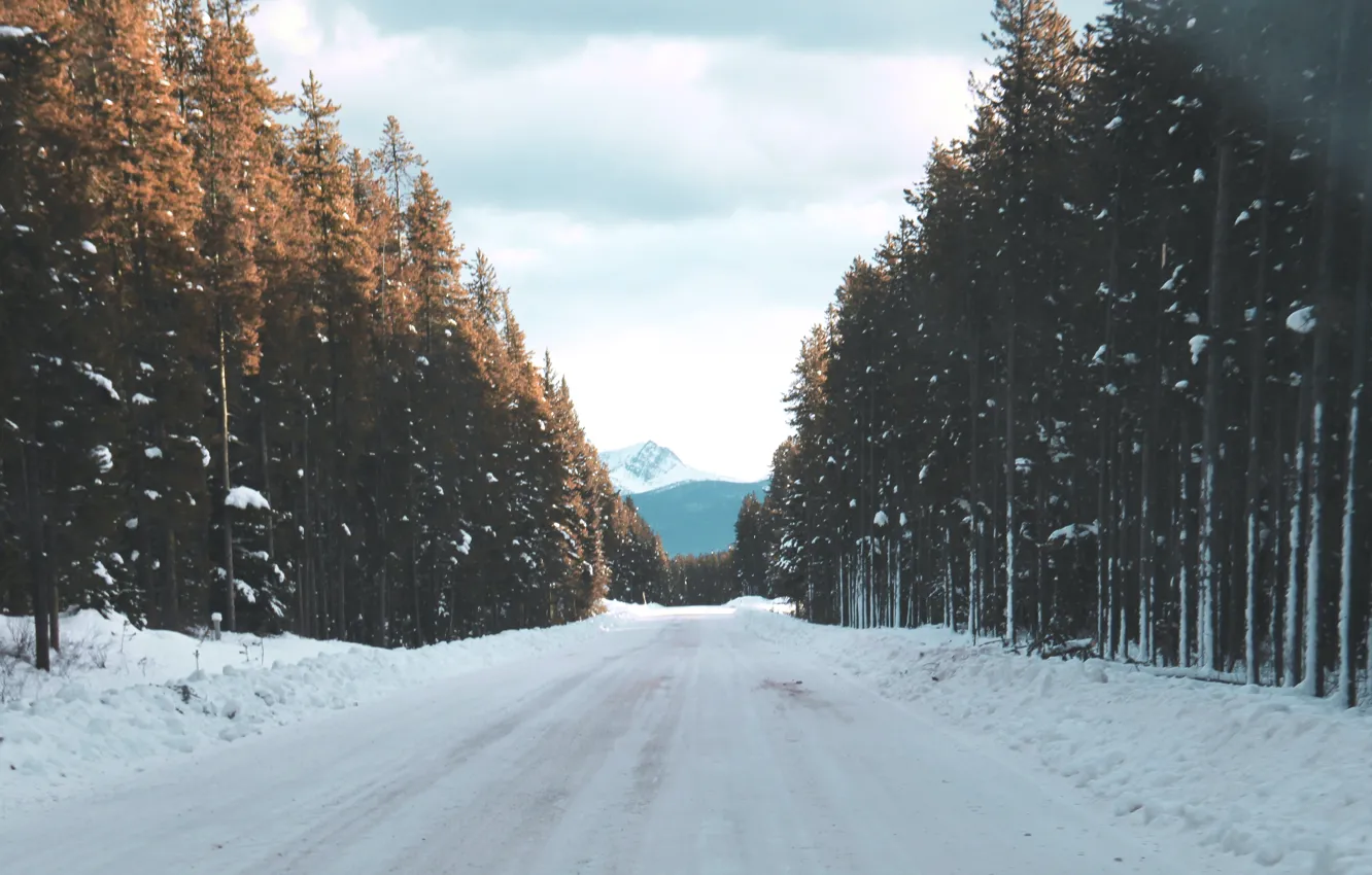 Photo wallpaper trees, wood, winter, clouds, mountain, snow, street, Giovanni Moschini