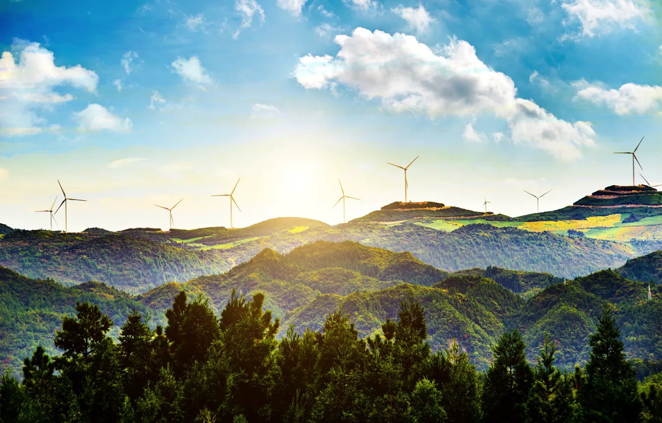 Photo wallpaper forest, the sun, clouds, light, mountains, hills, view, dal