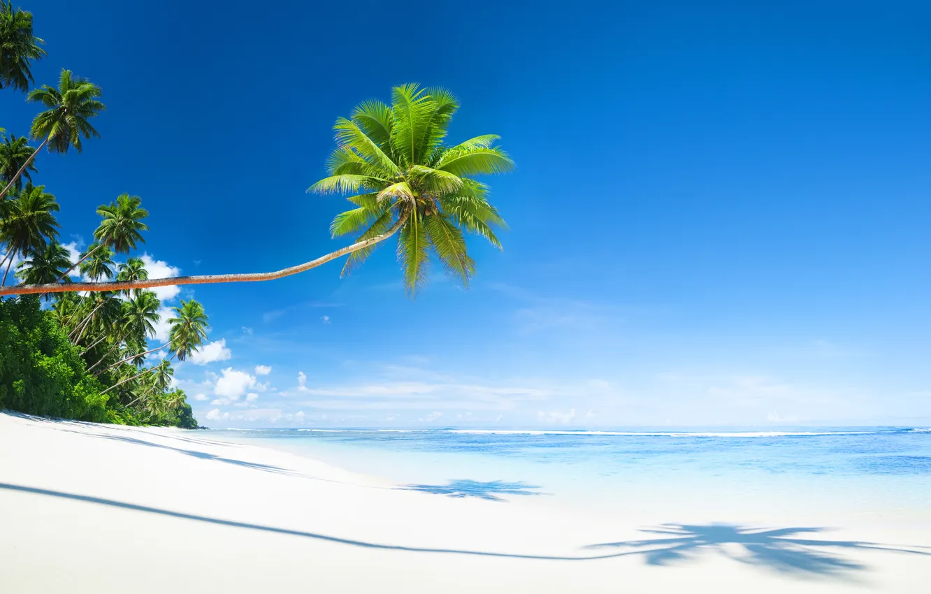 Photo wallpaper sand, sea, wave, beach, summer, the sky, palm trees, shore