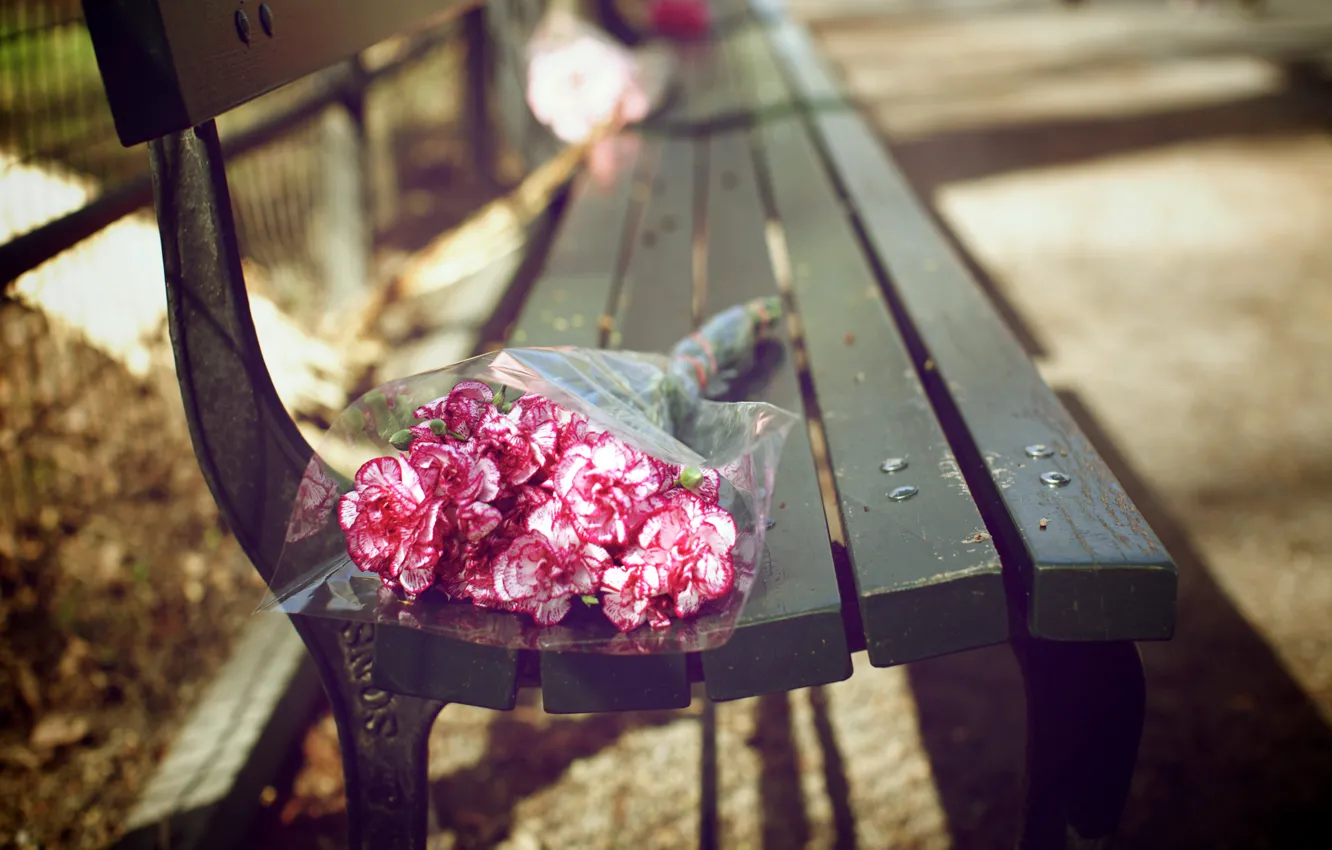 Photo wallpaper joy, flowers, Park, the fence, color, bouquet, petals, pink
