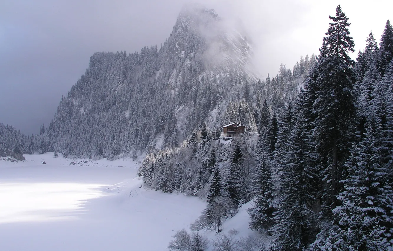Photo wallpaper winter, forest, mountains, house