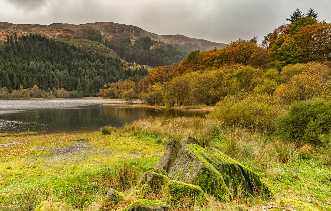 Photo wallpaper autumn, forest, grass, trees, mountains, clouds, lake, England