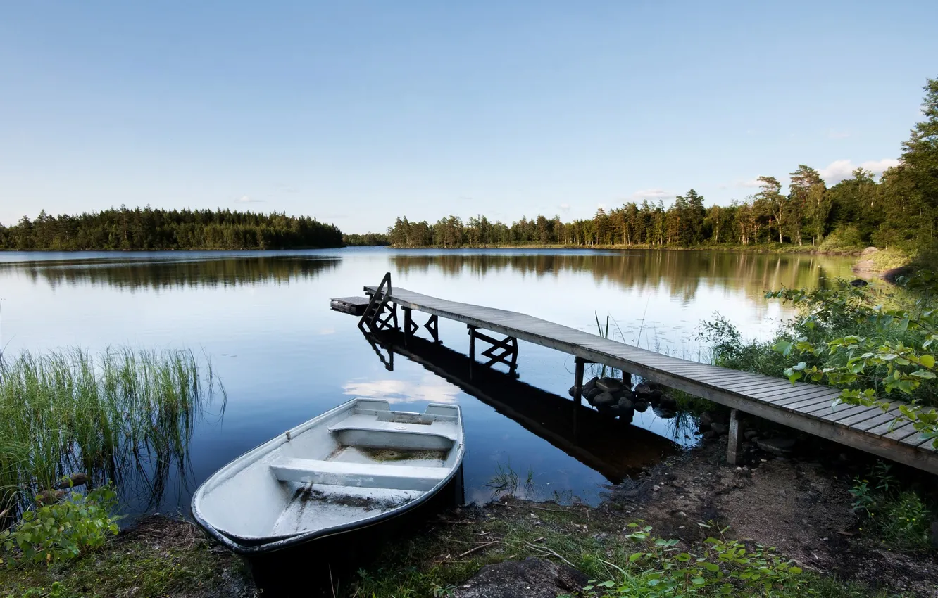 Photo wallpaper forest, summer, grass, river, shore, boat, pierce, reed