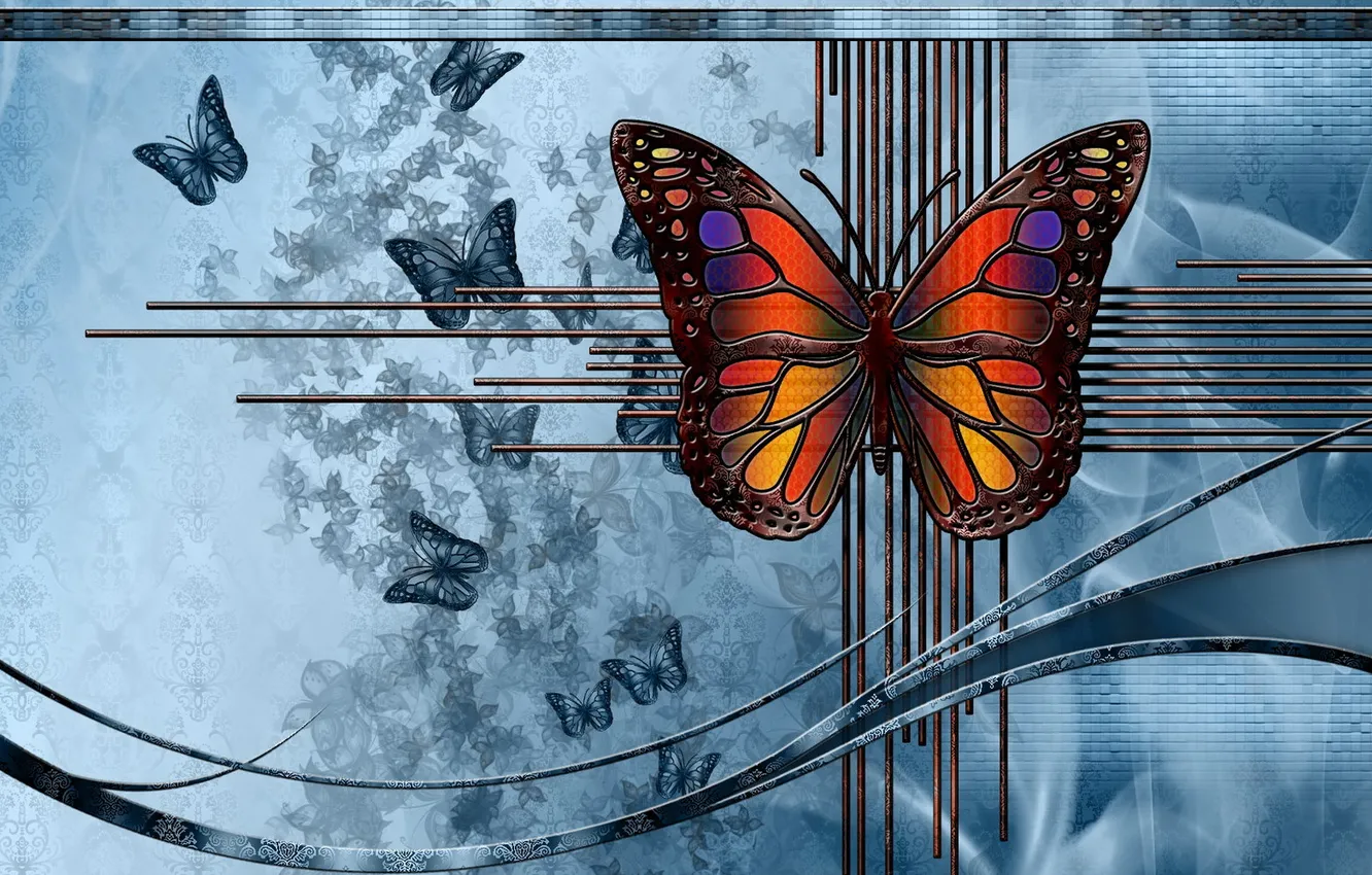 Photo wallpaper abstraction, butterfly, color, form