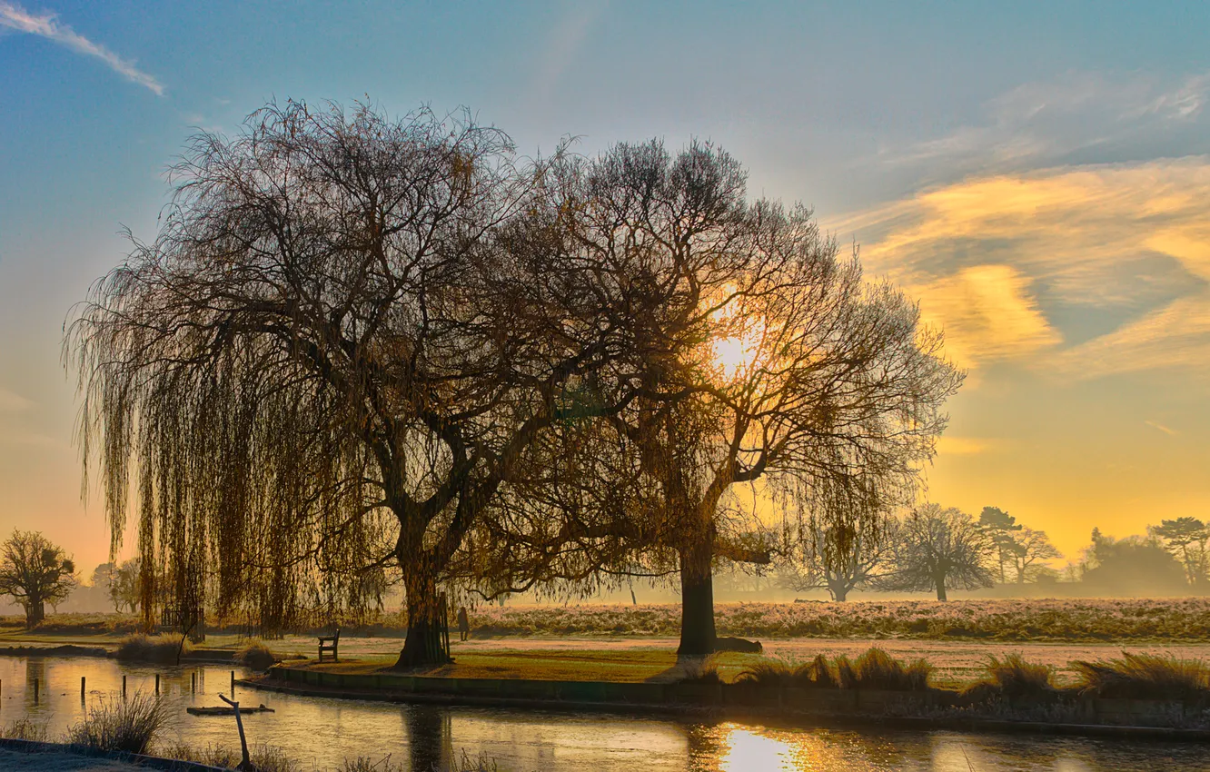 Photo wallpaper the sky, clouds, trees, sunset, fog, pond, Park, bench