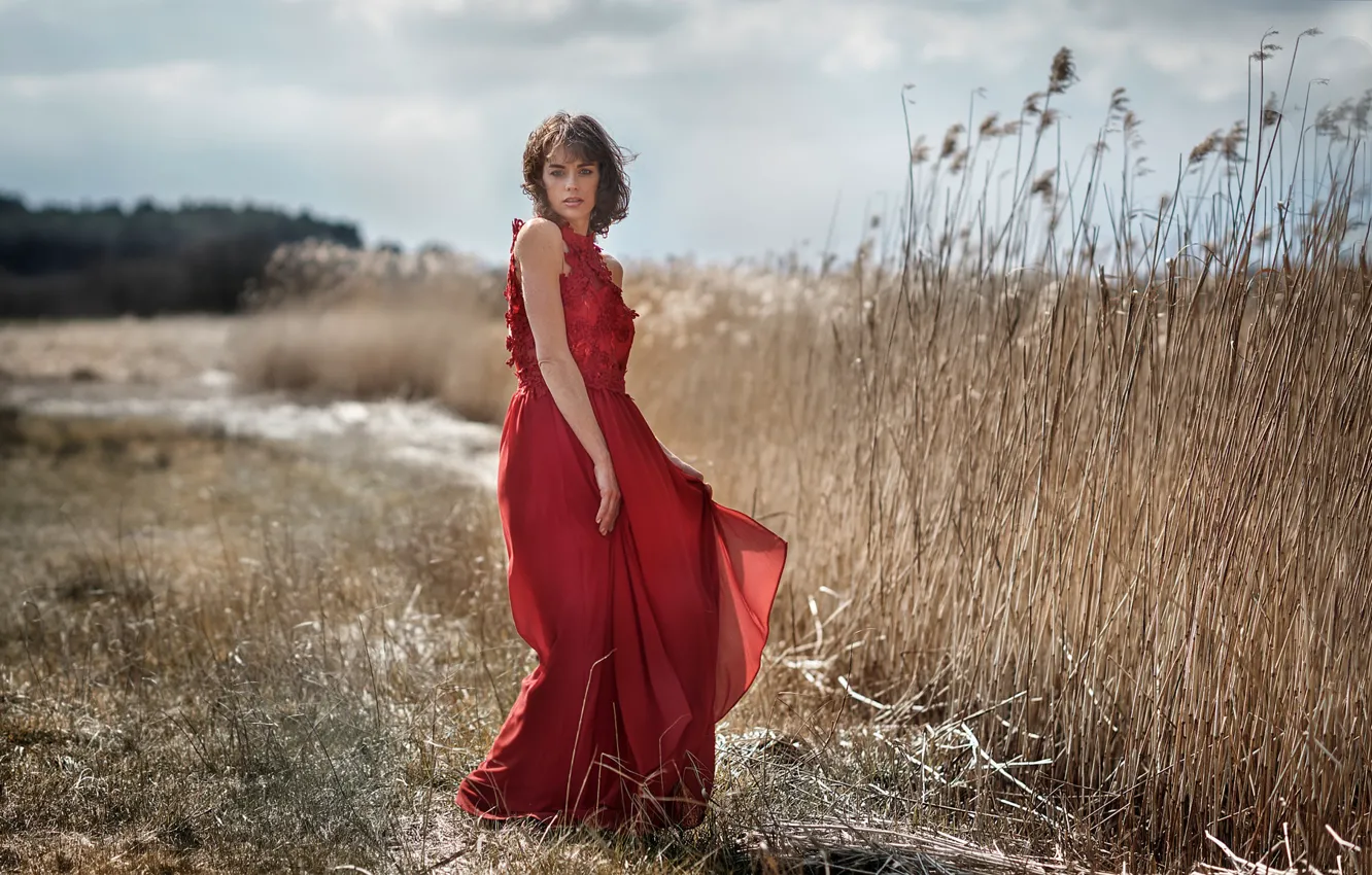 Photo wallpaper grass, look, the sun, nature, pose, model, portrait, makeup