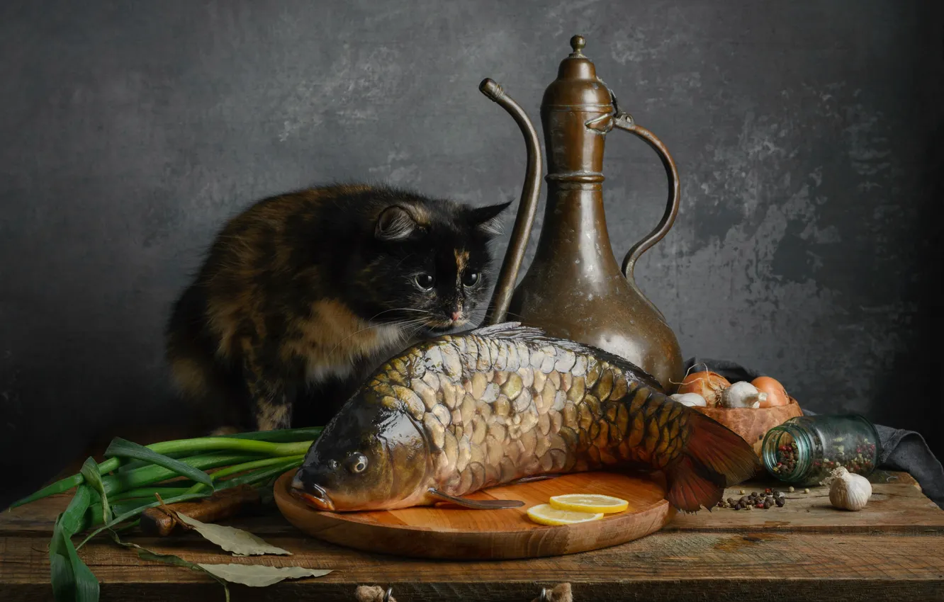 Photo wallpaper cat, cat, fish, carp