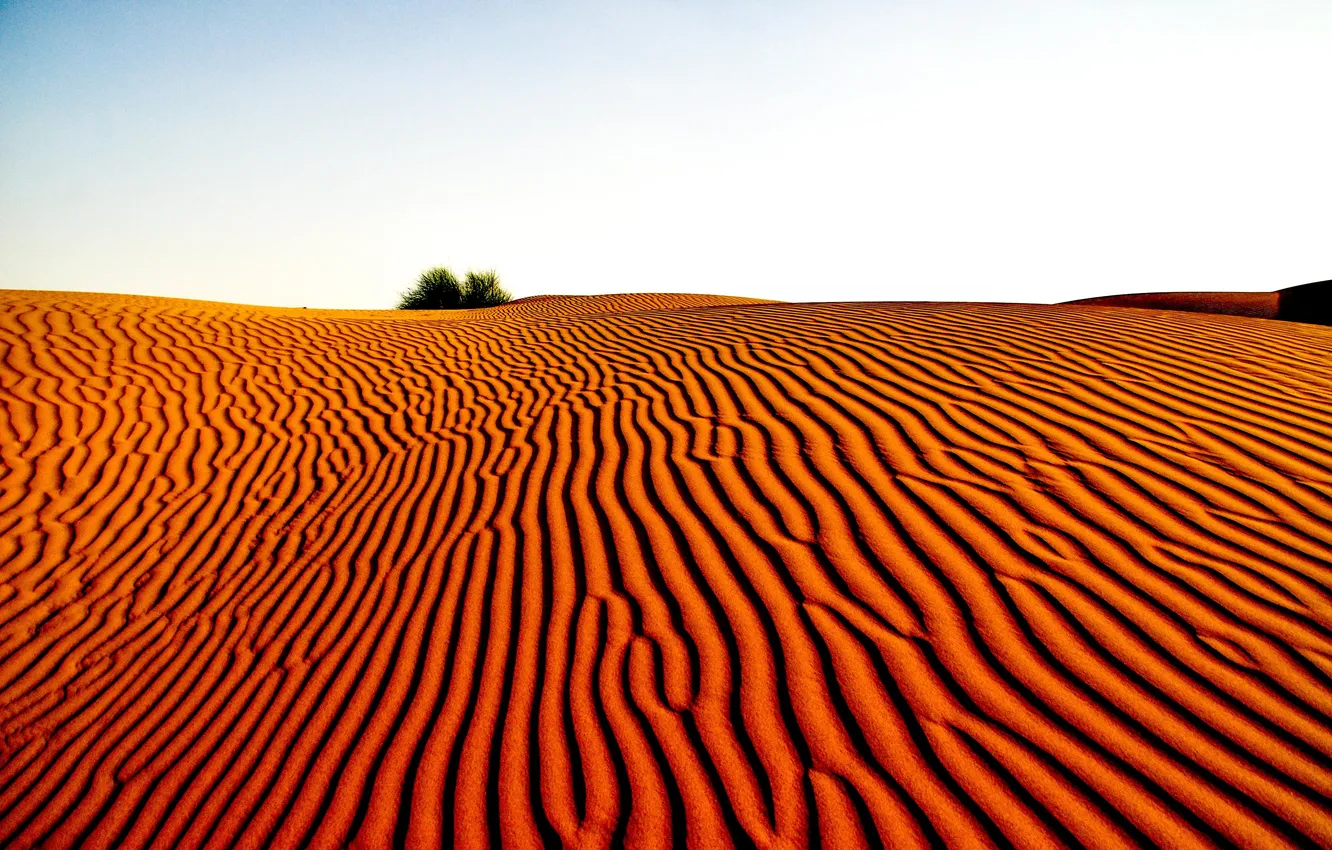 Photo wallpaper desert, landscape, sand