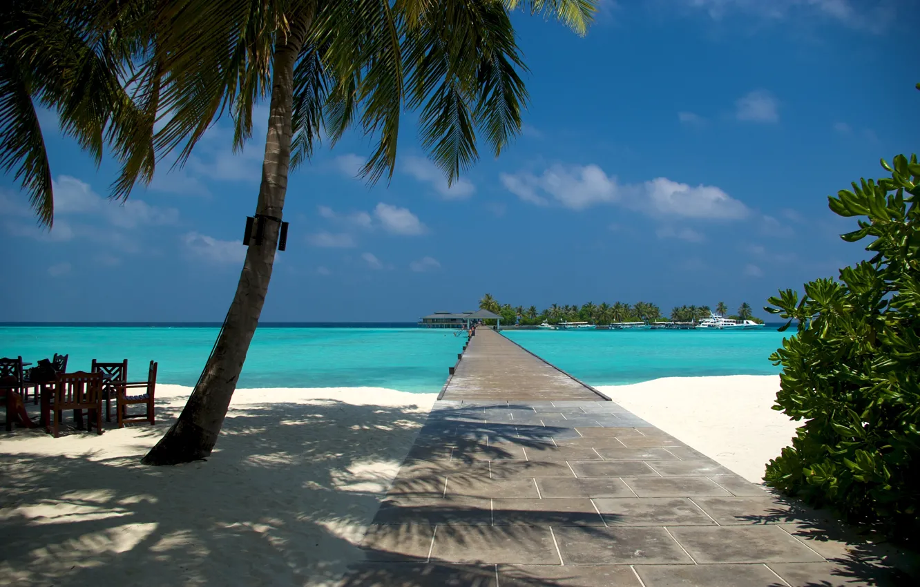 Photo wallpaper sand, beach, summer, palm trees, the ocean, the Maldives