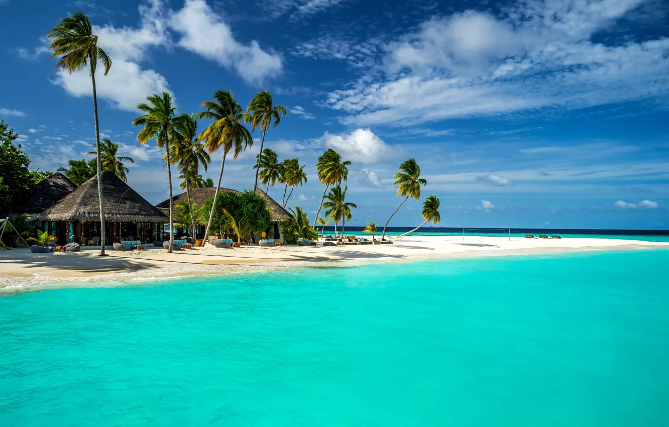 Photo wallpaper sand, sea, the sky, clouds, tropics, palm trees, coast, horizon