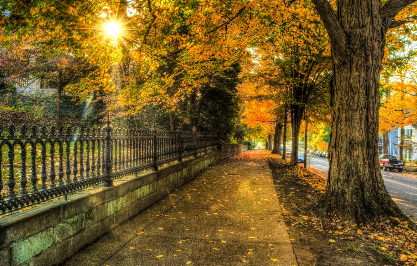 Photo wallpaper autumn, leaves, trees, nature, city, the city, house, street