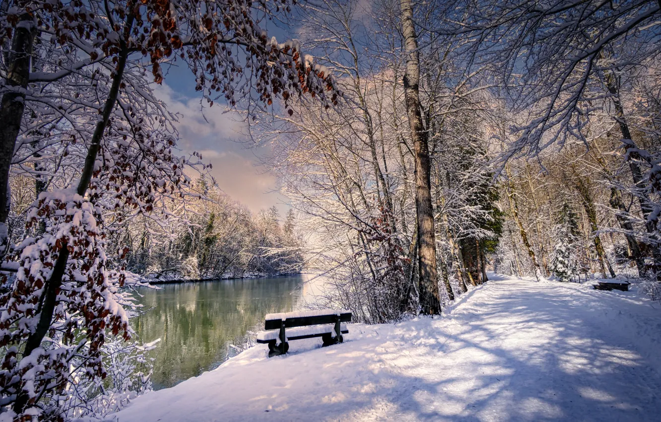Photo wallpaper winter, forest, snow, landscape, nature, Park, river, track
