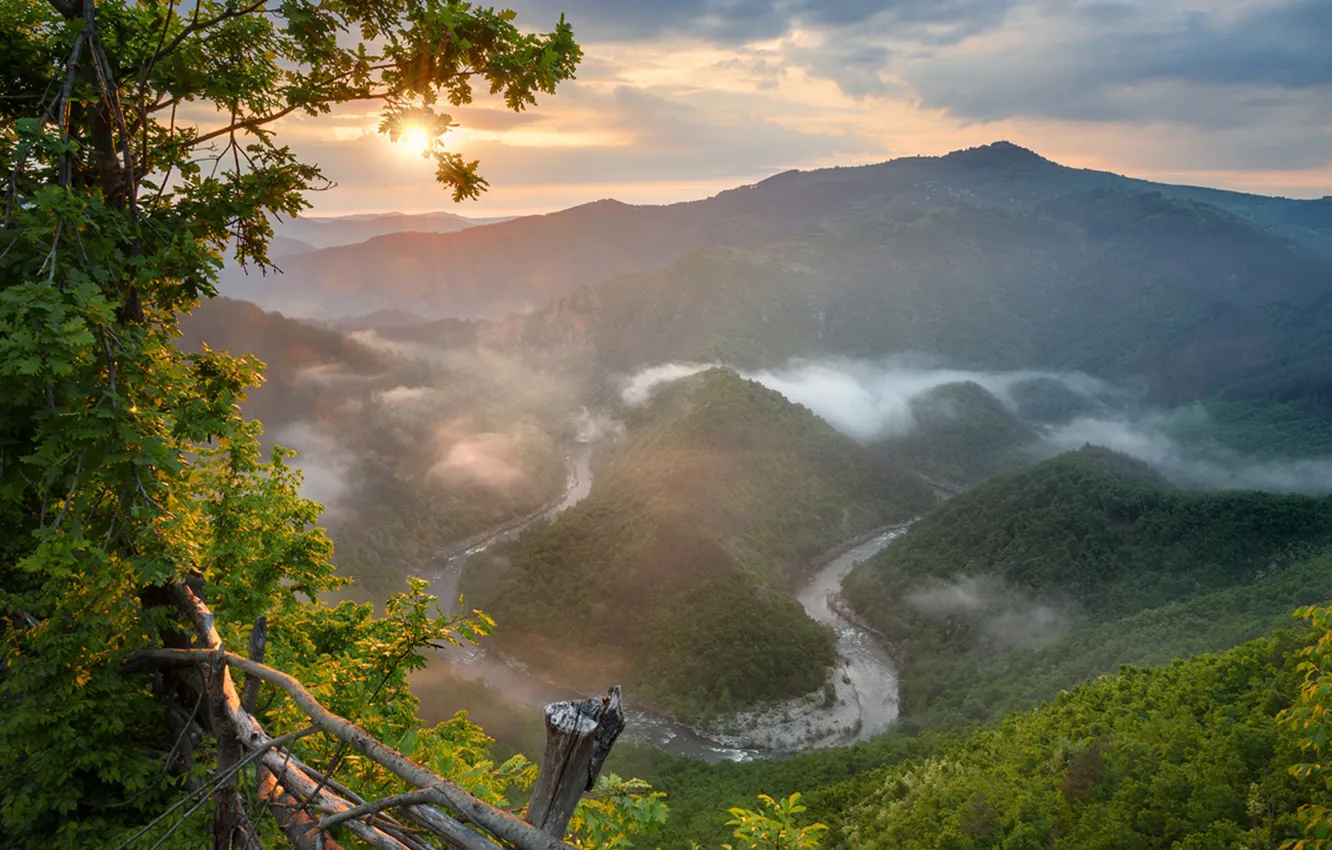 Photo wallpaper forest, the sky, the sun, clouds, rays, trees, landscape, mountains