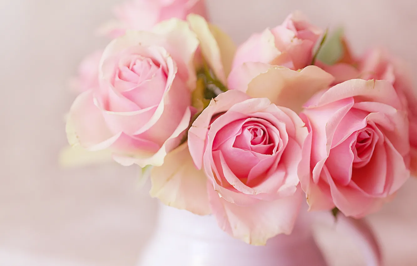 Photo wallpaper roses, bouquet, pink, pitcher